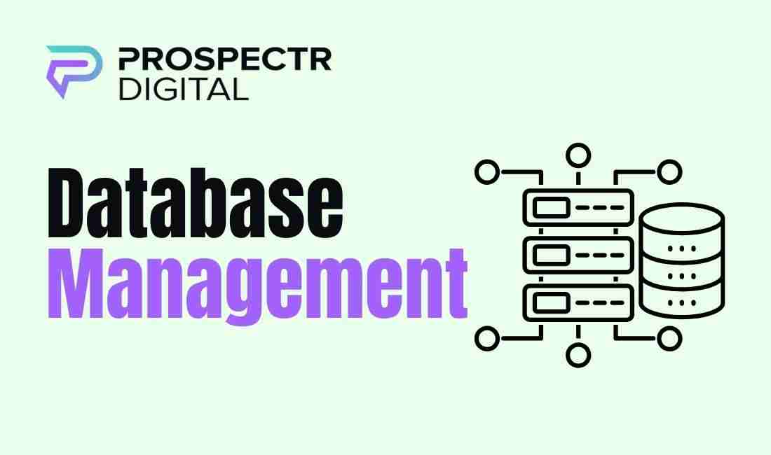 Database Management: A Comprehensive Guide