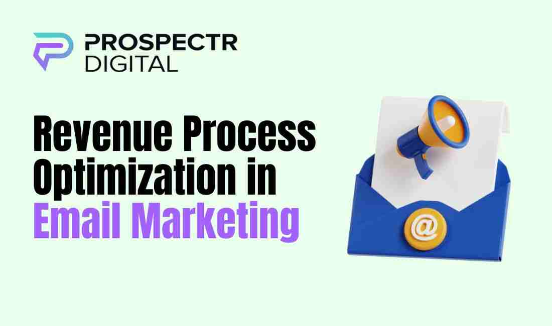 Revenue Process Optimization in Email Marketing