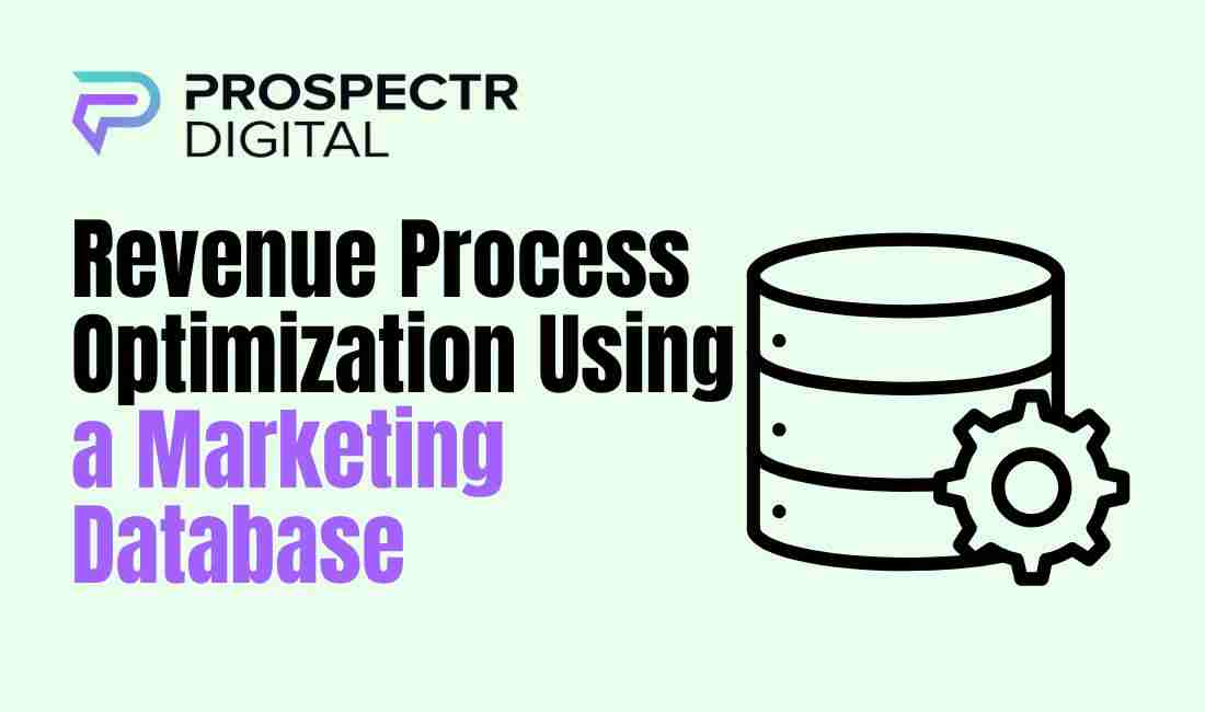 Revenue Process Optimization Using a Marketing Database