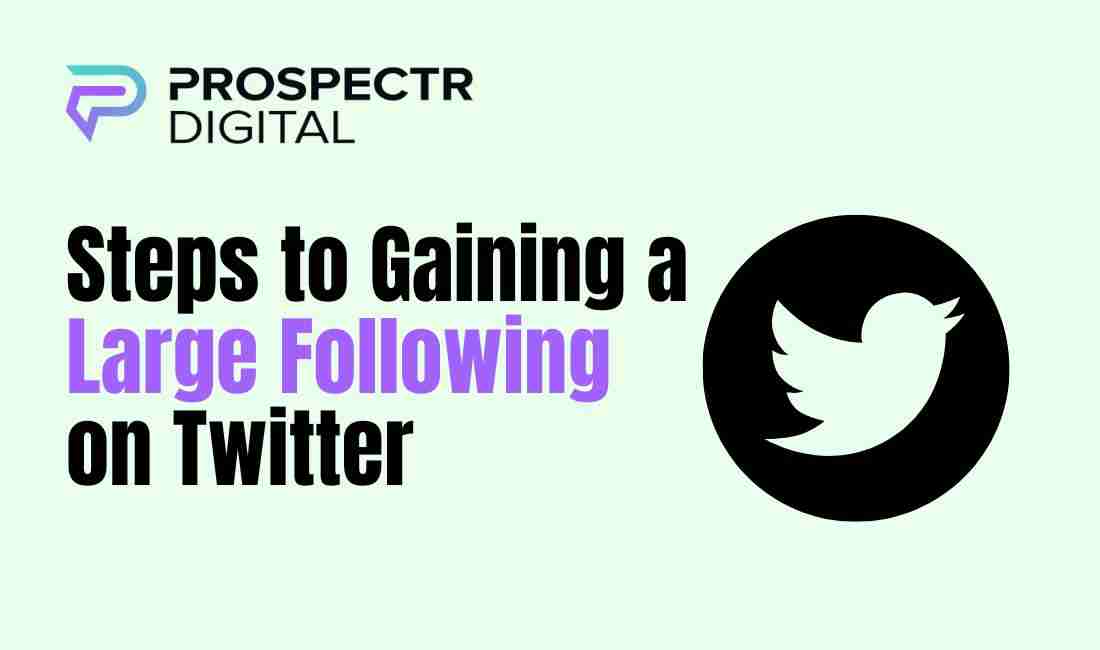 Steps to Gaining a Large Following on Twitter